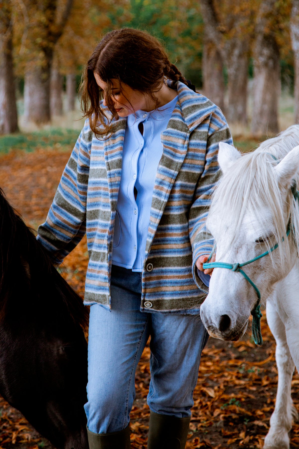 Veste horizons